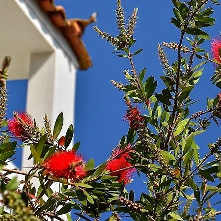Sunny Days Otel Tigaki
