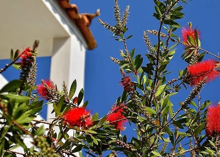 Sunny Days Hotel Tigkaki (Kos)